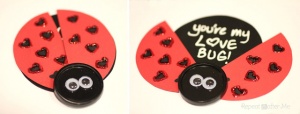 Vladybug