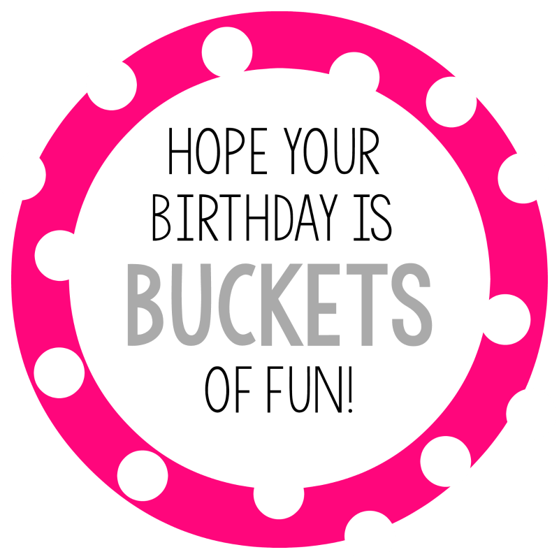 buckets-of-fun-birthday-gift-idea-crazy-little-projects