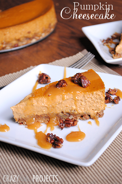 This is the BEST Pumpkin Cheesecake Recipe! Topped off with candied pecans and drizzled with caramel.
