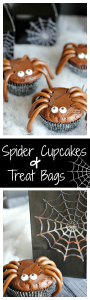 Cute & Easy Spider Cupcakes and Spider Web Treat Boxes