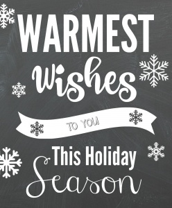Warmest Wishes Neighbor Gift Idea - Crazy Little Projects