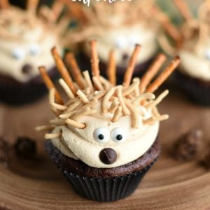 Cute Animal Cupcakes: Porcupines - Crazy Little Projects