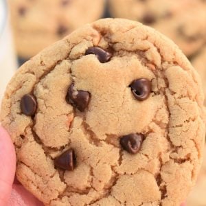 Peanut Butter Chocolate Chip Cookie Recipe