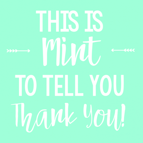 Mint Thank You Gift Idea - Crazy Little Projects