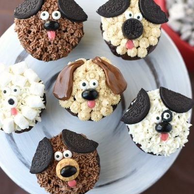 Cute Puppy Cupcakes