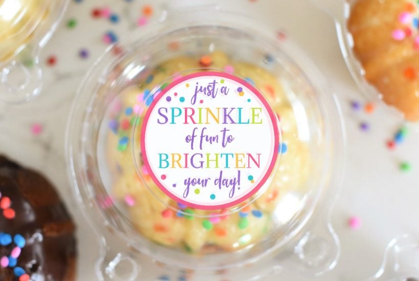 Sprinkle of Fun Just Because Gifts for Friends